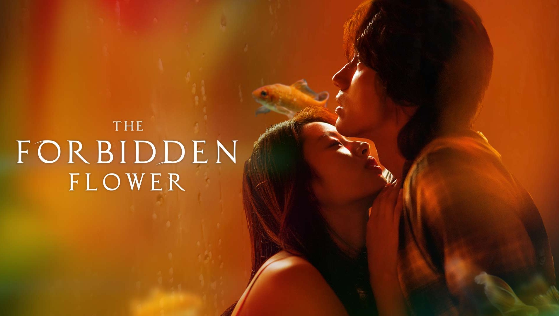 Lost flower korean movie watch online free new arrivals