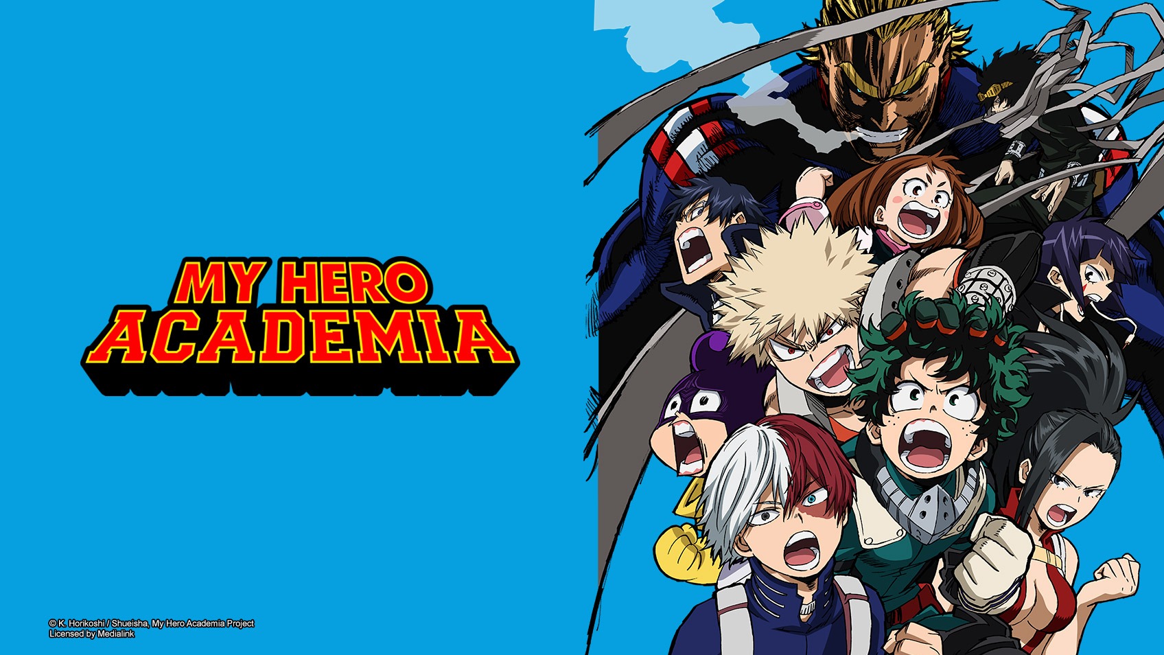 Watch my hero academia season 2 discount