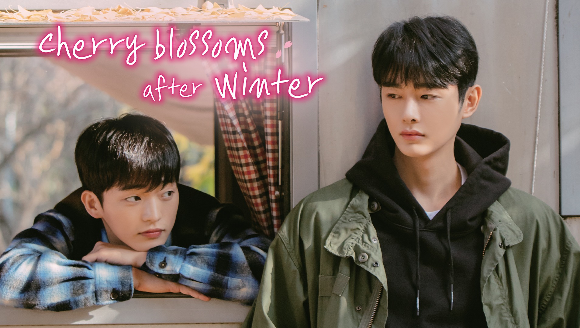 EP1 Cherry Blossoms After Winter Watch HD Video Online iflix