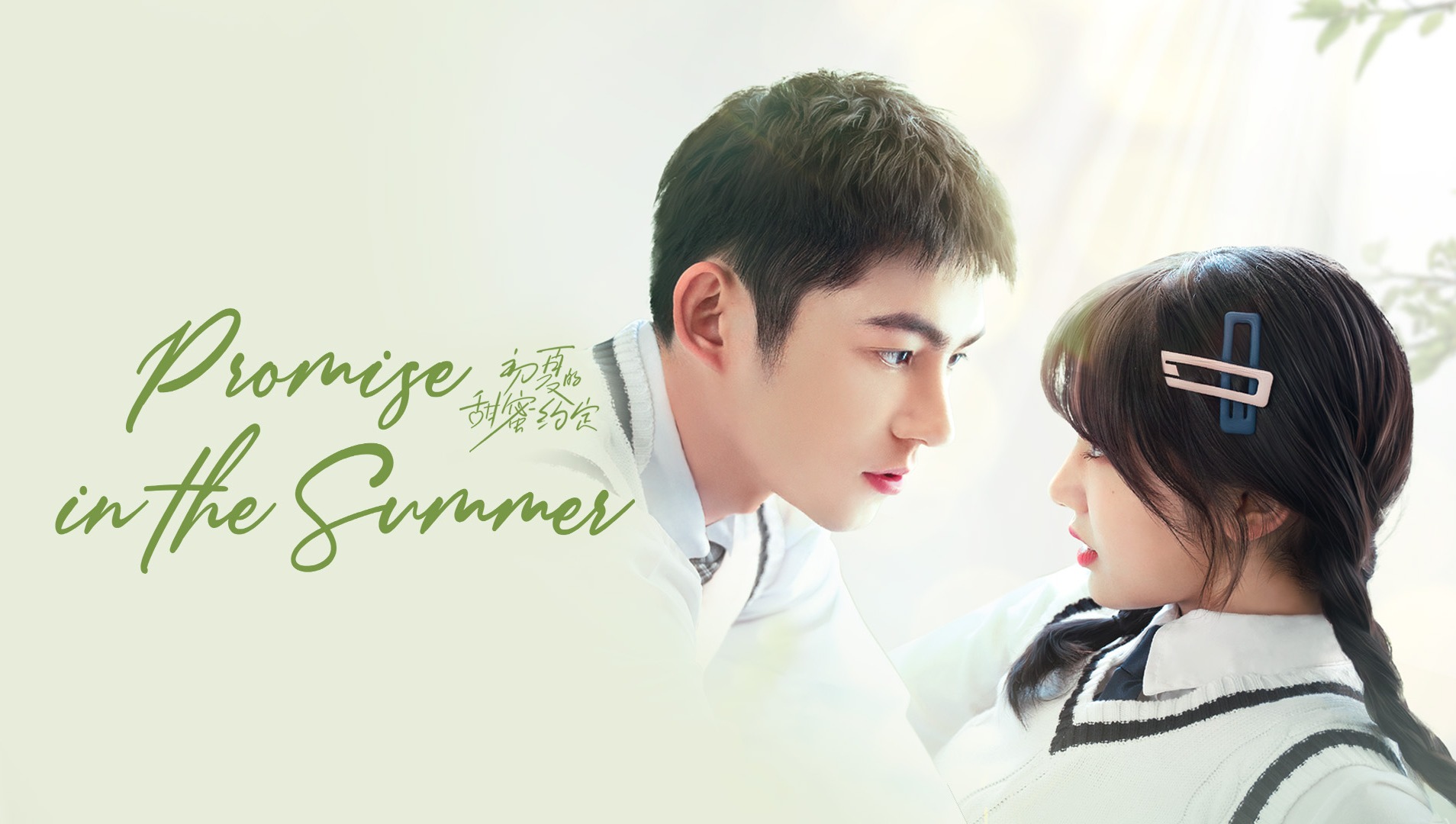 Promise in the Summer poster