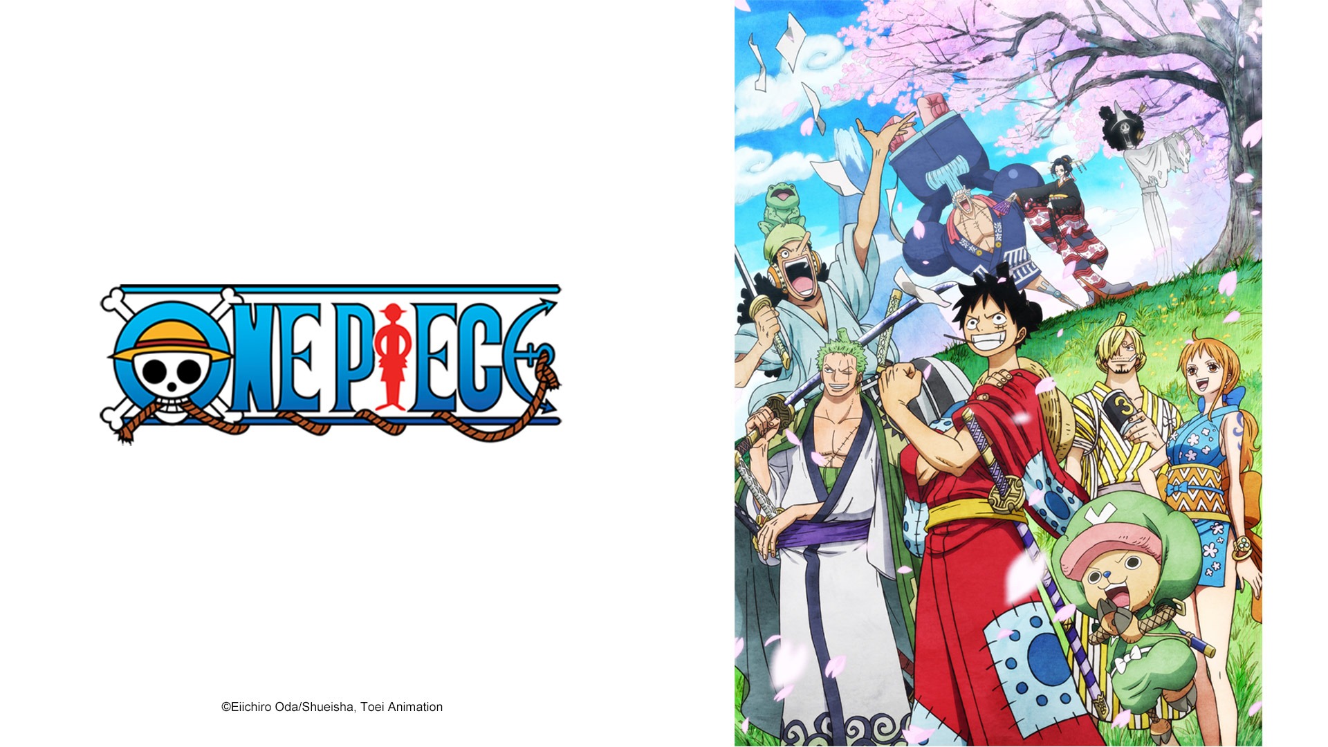 EP1007: One Piece - Watch HD Video Online - WeTV